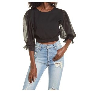NWT Prima crop top, sheer 3/4 sleeves, size XS